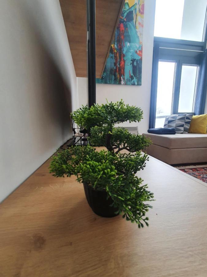Bjelasnica Tuzlaks Apartment -Sauna-Free Parking ภายนอก รูปภาพ